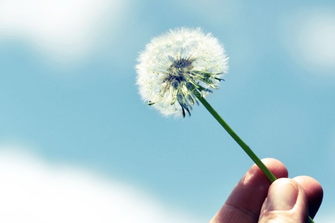 Dandelion Photograph, Make A Wish 5x7 Nature Print, Blue Sky, Whimsical Home Decor