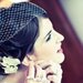 voluminous birdcage veil - ivory and white