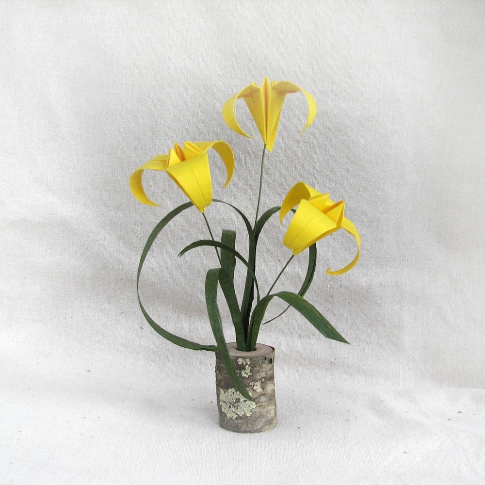 Origami Plant - Lilium Biblisi Special Edition
