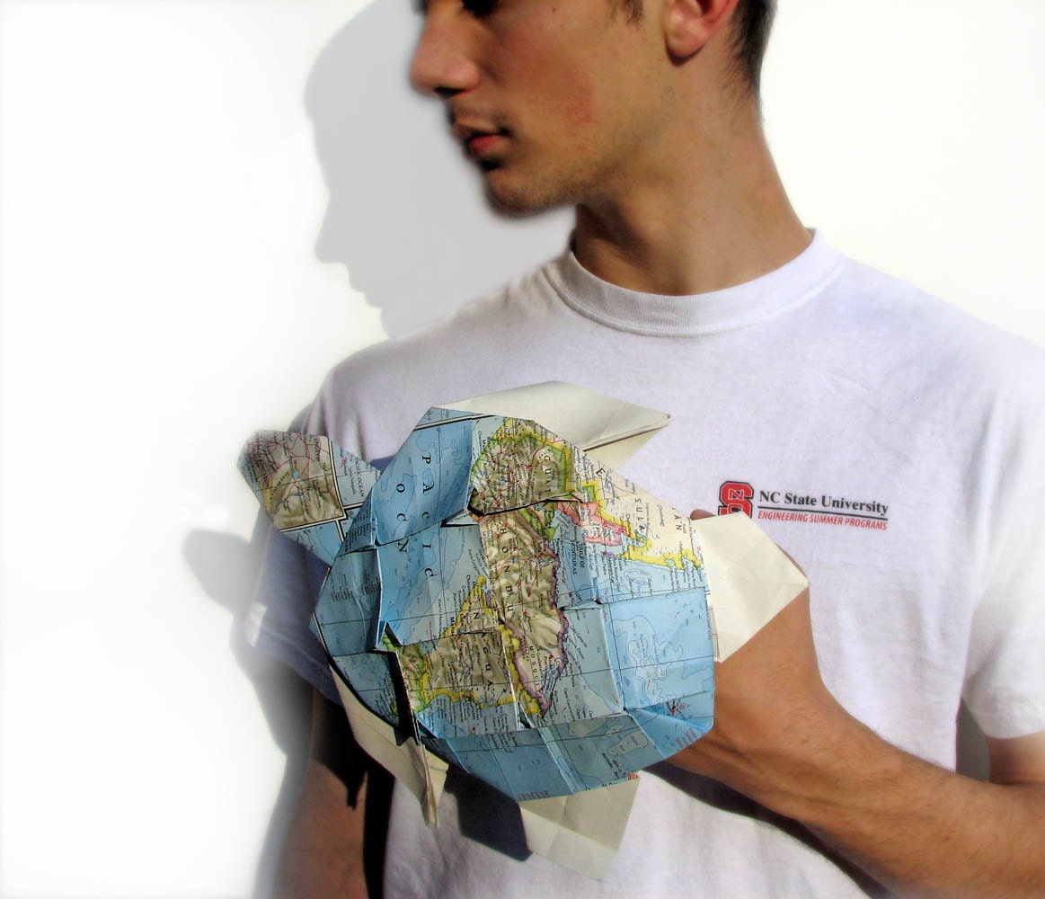 Map Turtle - Graptemys Origamys Maximus - Design by PaperDisciple