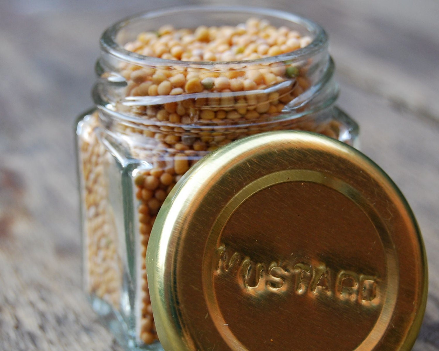EVERYTHING but the... Spice Kit (24 ORGANIC Spices) Embossed Magnetic Spice Rack. Free Shipping.