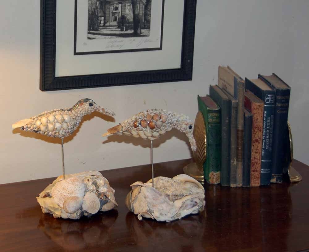 Shell Shorebird