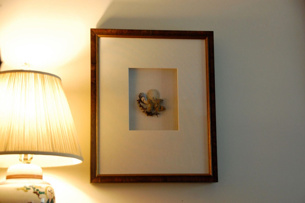 Sea Life Shadow Boxes