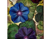 SALE - Morning Glories by Kristen Dougherty