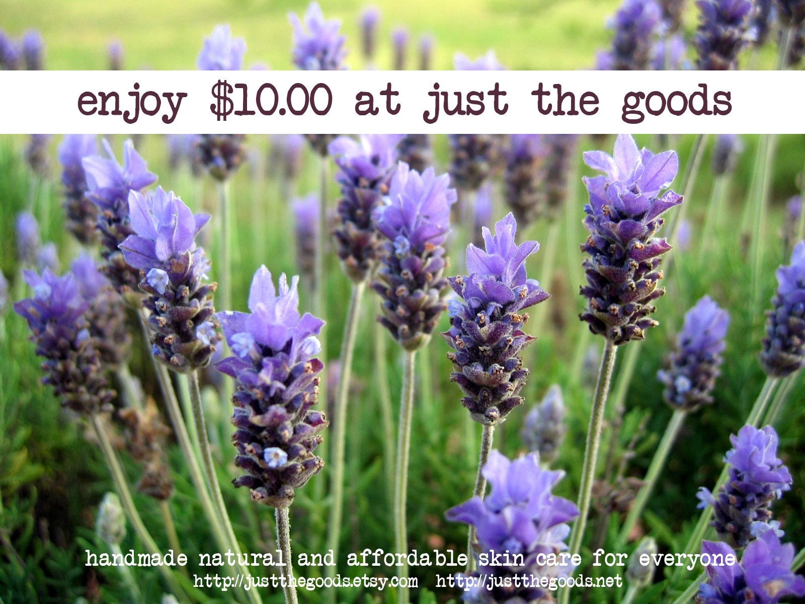 10.00 Gift Certificate for Just the Goods