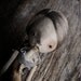 RESERVED Pierrette Art Doll