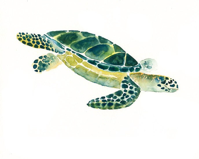 SEA TURTLE by DIMDI Original watercolor painting 10X8inch