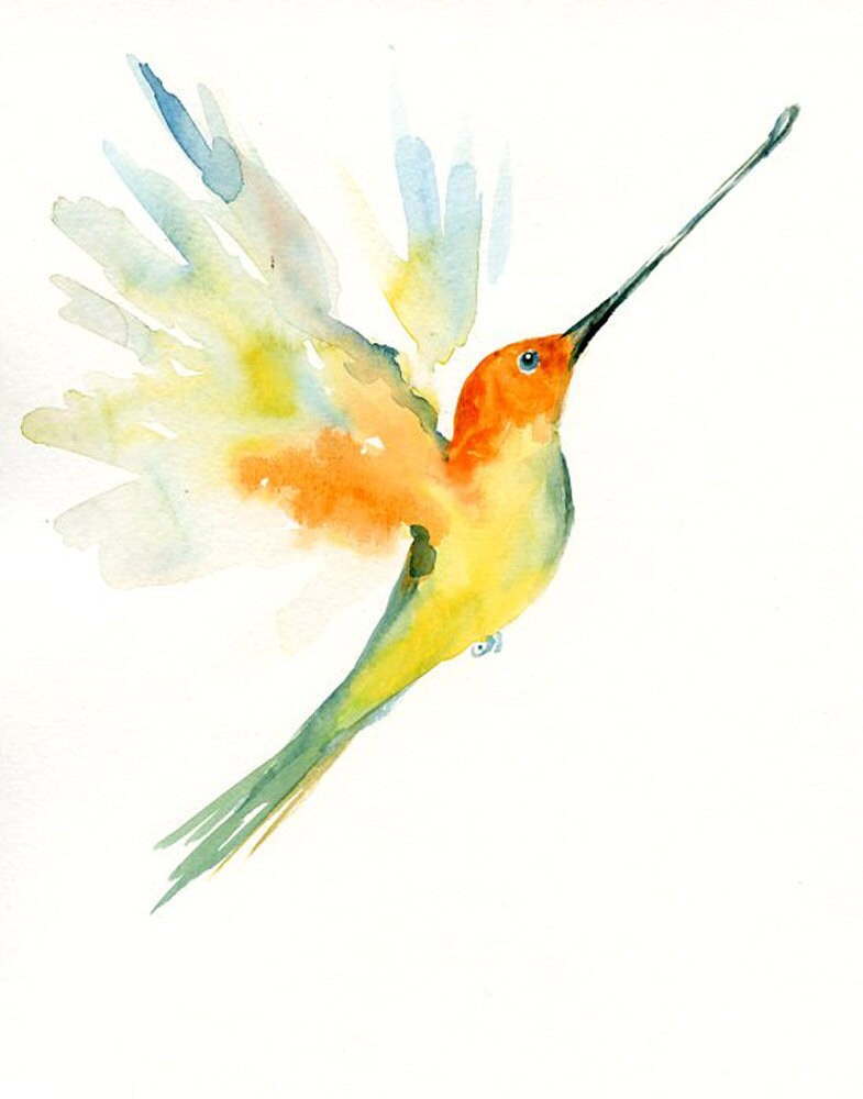 Sword billed HUMMINGBIRD by DIMDI Original watercolour painting 8x10inch (Vertical orientation)xxxxAll the animals that you wantxxxx