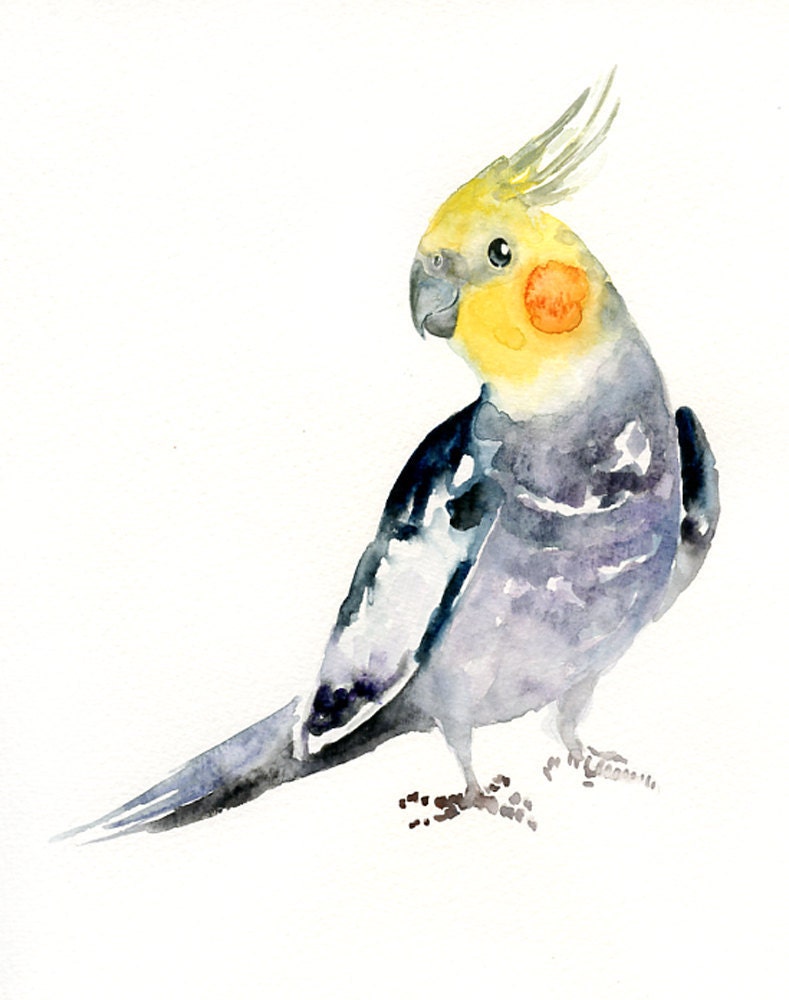 COCKATIEL by DIMDI Original watercolor painting 8x10inch (Vertical orientation)
