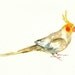 xxxxAll the animals that you wantxxxx custom of your favorite animals by DIMDI Original watercolor painting 10X8 inch