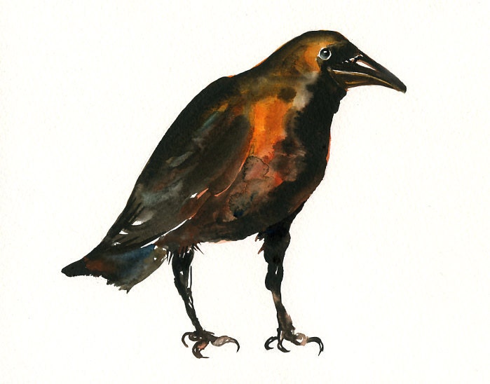 CROW by DIMDI Original watercolor painting 10x8inch xxxxAll the animals that you wantxxxx