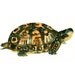 Eastern BOX TORTOISE by DIMDI Original watercolor painting 10X8inch