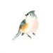 TITMOUSE by DIMDI Original watercolor painting 10X8inch