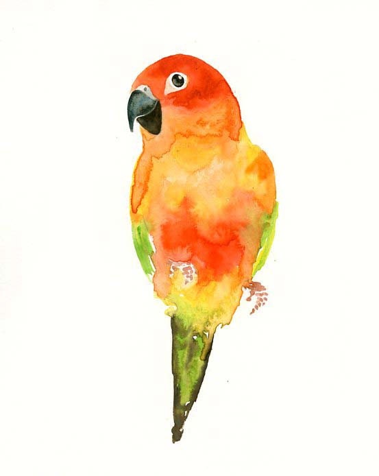 CONURES by DIMDI Original watercolor painting 8x10inch (Vertical orientation)