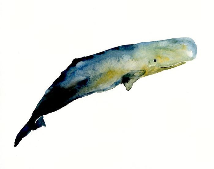 SPERM WHALE by DIMDI Original watercolor painting 10X8inch