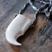 Fossil Moose Antler Claw Pendant