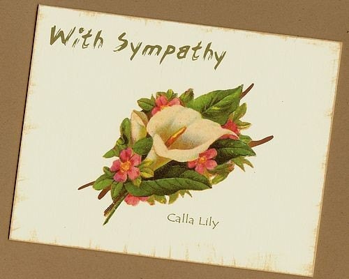 With Sympathy Card, Calla Lily Sympathy Card, Peace Lily