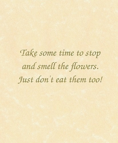 Victorian Cat Birthday Card - Stop and smell the flowers, Just don't eat them too