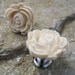 Petite Drawer knob with Blooming Rose in Ivory White MORE COLORS Available (RFK04)