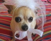 Wedding Pet BRIDAL veil
