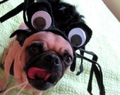 Pet Costume - Creepy Itsy Bitys SPIDER pet costume  small or medium