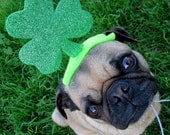 saint patrick's day decoration - IRISH LUCKY dog or cat hat fits all sizes