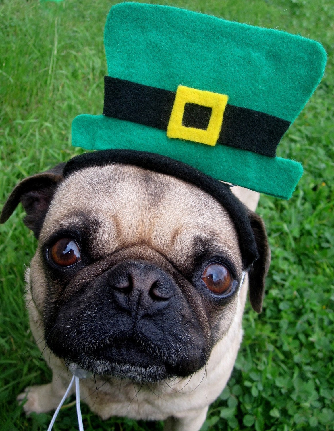 Saint Patrick's Day LEPRECHAUN Hat fitting ALL size pets