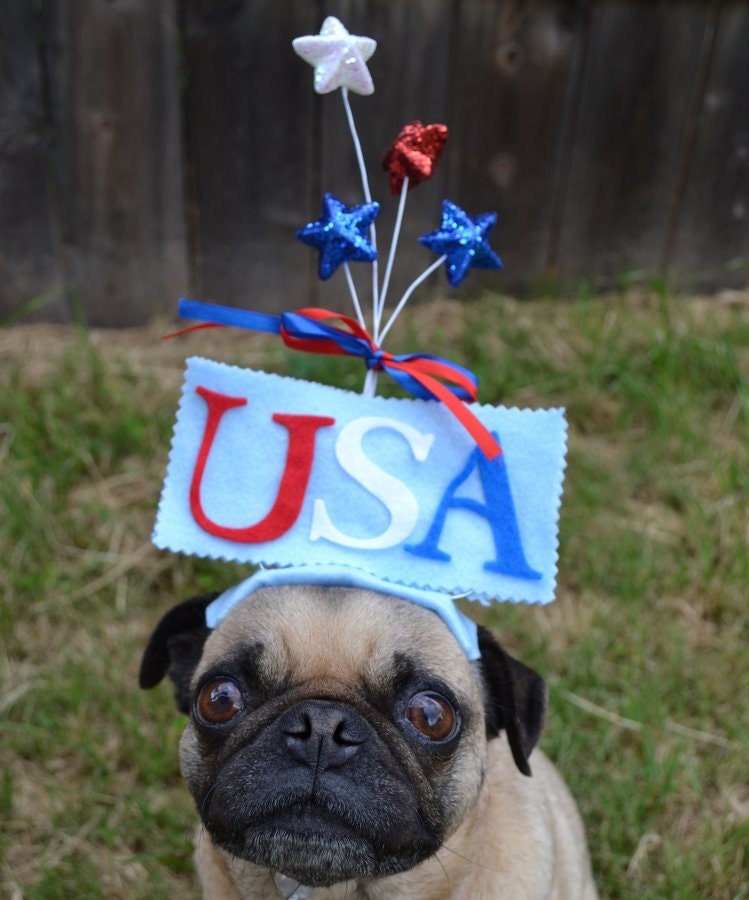 Happy 4th of July USA party hat for any size pet