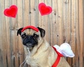 Valentine's Day Love package - CUPID WINGS and HEART hat fits all size dogs or cats