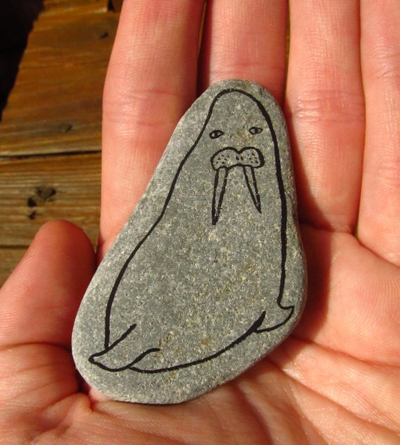 Walrus - Painted on Rock -