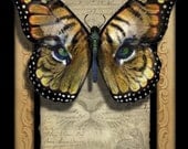 Crypto-Entomology Blank Note Card by Brian Giberson - The Catseye Butterfly