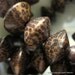 Patikan Wood Rondelle Saucer Bead 10mm by 15mm 9pcs 3.5in (9cm) 3mm hole