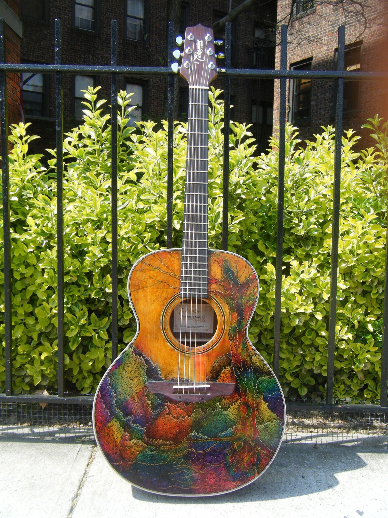 Decorated Acoustic Guitar