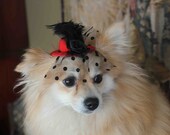 Cute red  color  mini  hat with   feather and   flowers for dog or cat