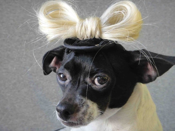 Lady Gaga hat for dogs or cats