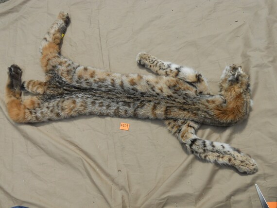 Super Spotted Western Bobcat Lush Fur Lot No A279 by Furries