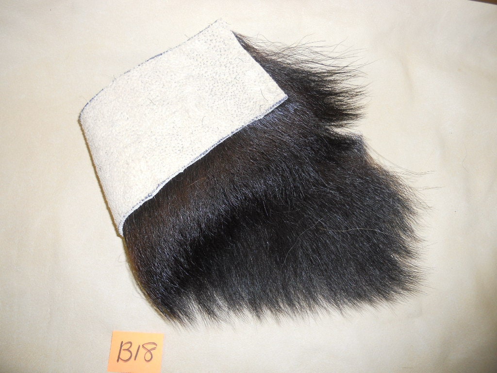 CHOICE  Rare Fur and Hide Piece- Species Choice- 3 Inches by 3 Inches