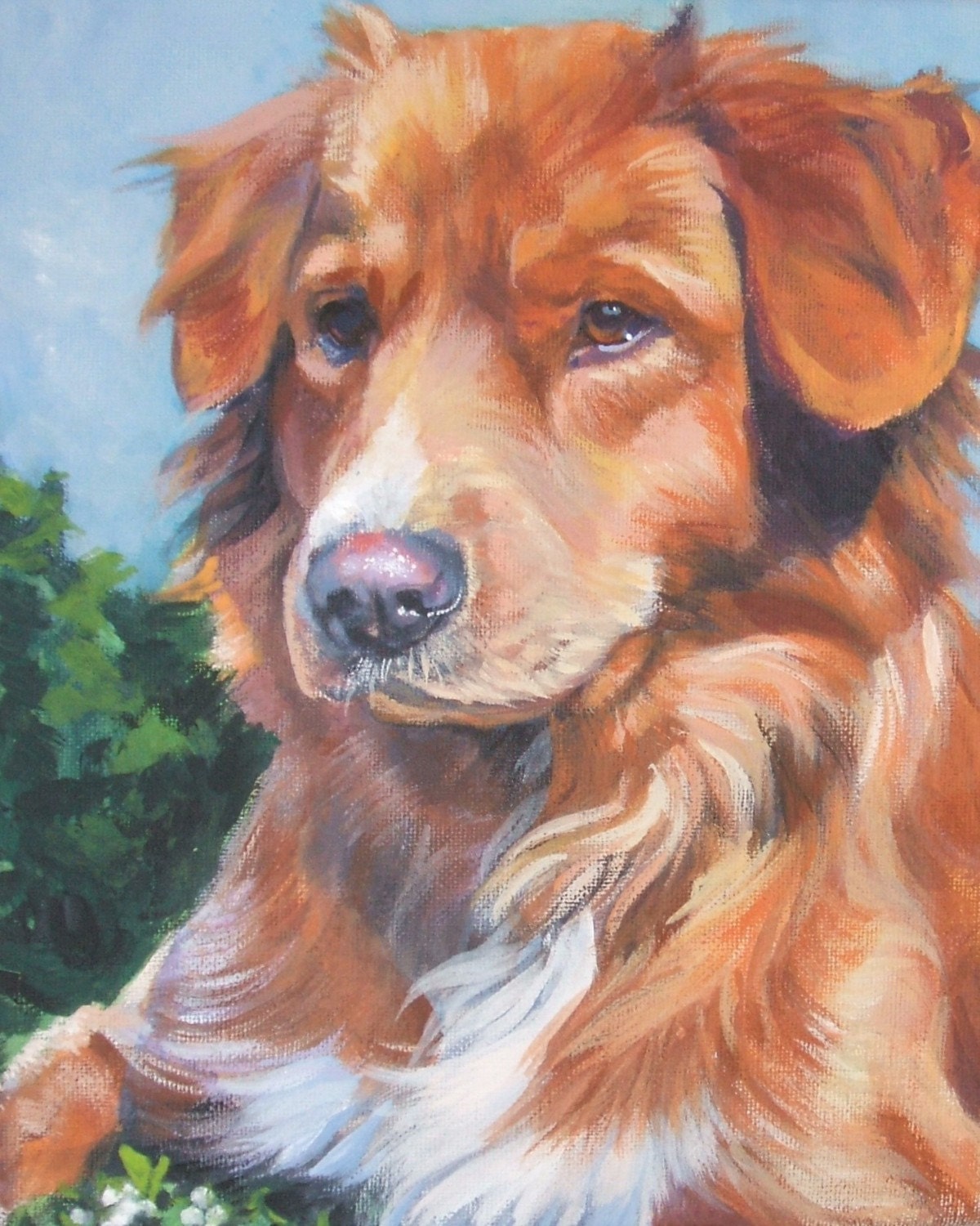 Nova Scotia Duck Tolling Retriever toller art print CANVAS print of LA Shepard painting 8x10