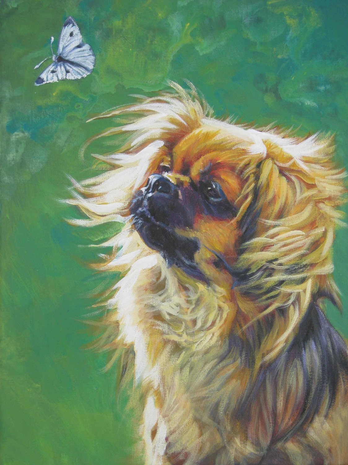 Tibetan Spaniel art print CANVAS print of LA Shepard painting 12x16