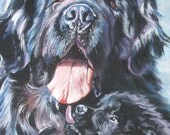 Newfoundland art print CANVAS print of LA Shepard painting 12x16 dog art