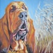 Bloodhound dog art print CANVAS print of LA Shepard painting 8x8