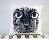 cat pillow.