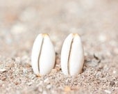 Sea Shell Stud Earrings Sterling Silver Cream Ivory white beach fashion eco-friendly aqua sand nautical vacation