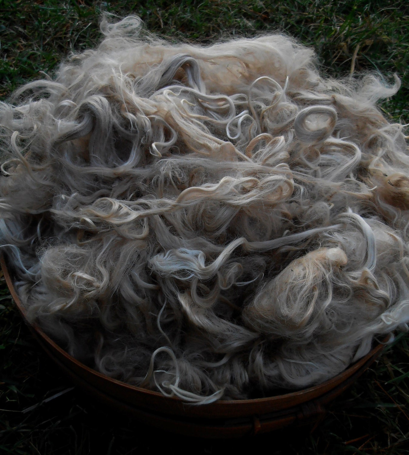 Suri Alpaca Fiber, 6", Natural Color, Beige, 2 ounces, Serenity