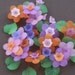 Daisy Flower and Leaves Mixed Variety Pack (46)