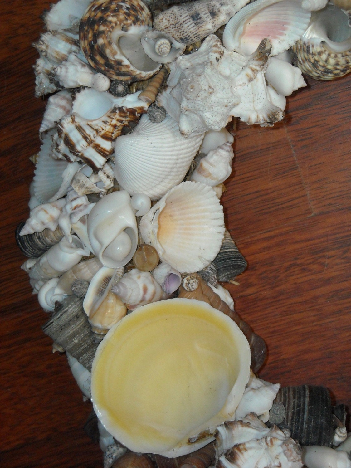 Pacific/Indian Ocean Shell Wreath 12 inches