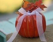 Fairytale Cinderella Harvest Fall Wedding Pumpkin Ring Bearer Pillow (item M10599)