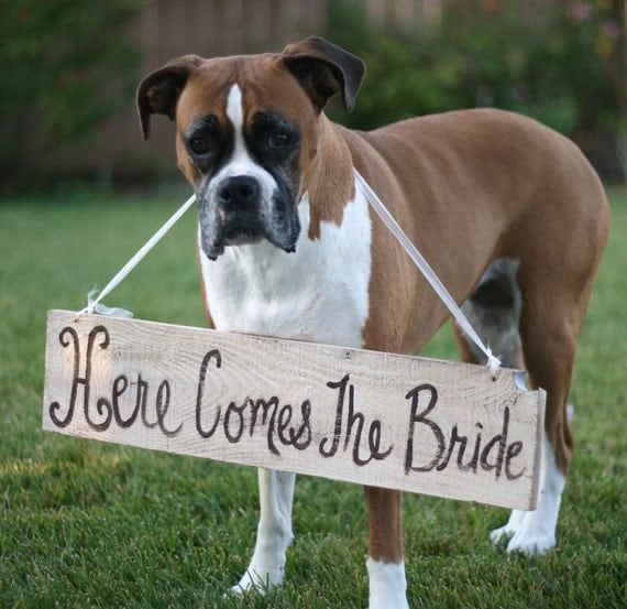 Rustic Chic Weddings Old Barn Wood Hand Painted Here Comes The Bride Sign For Dog Pet Photo Prop