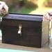 Rustic Woodland Summer Fall or Winter Large Personalized Engraved With Your Names Wood Wedding Card Box Treasure Chest With Lock and Key