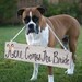 Rustic Chic Weddings Old Barn Wood Hand Painted Here Comes The Bride Sign For Dog Pet Photo Prop